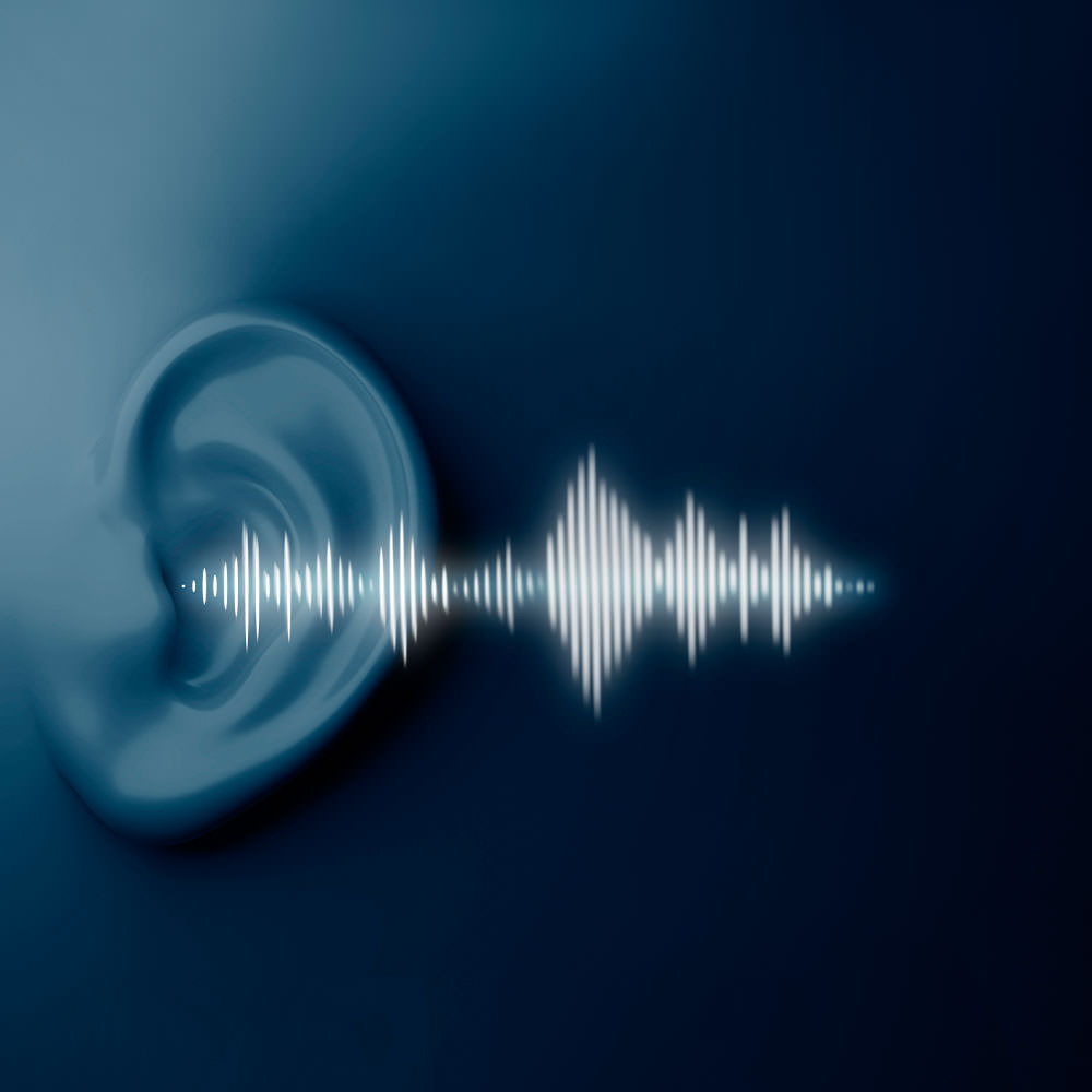 Noise-logger-2